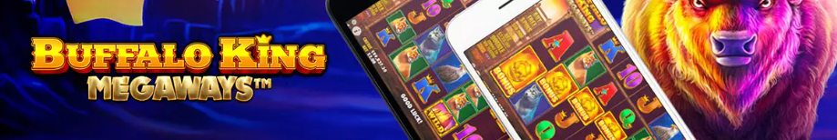 Volatilité Buffalo King Megaways machine à sous