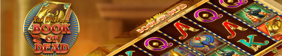 Volatilité Book of Dead machine à sous
