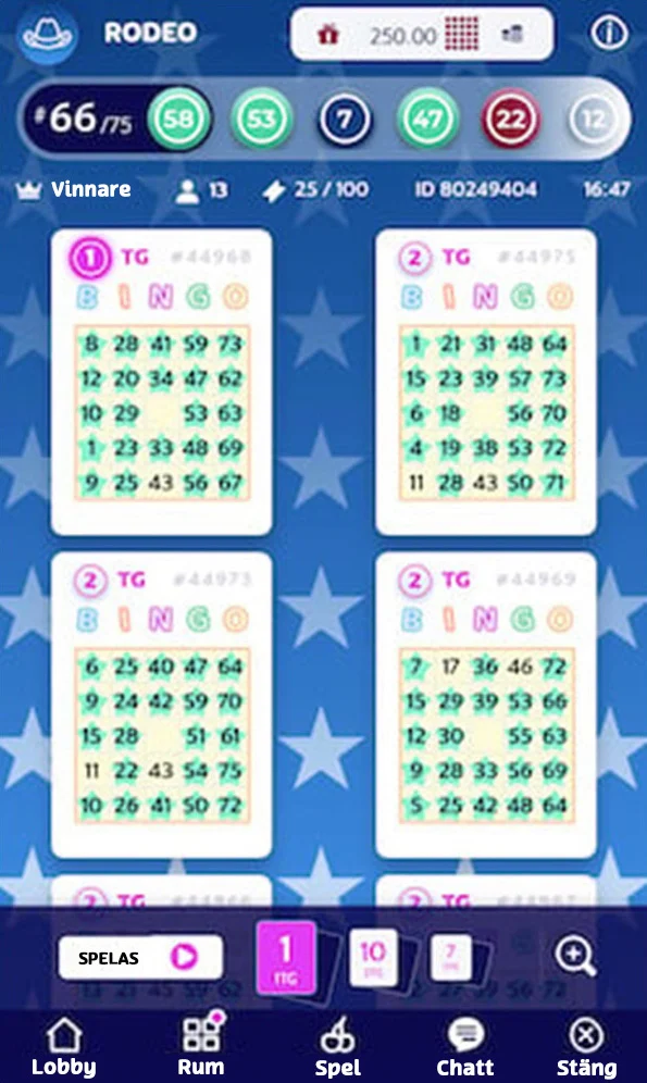 how to play bingo screenshot 11