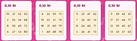 how to play bingo screenshot 3