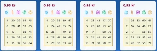 how to play bingo screenshot 4