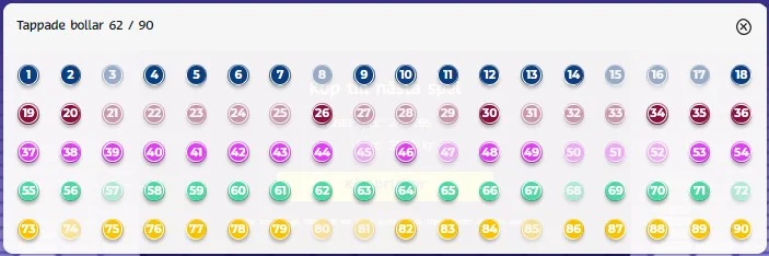 how to play bingo screenshot 5