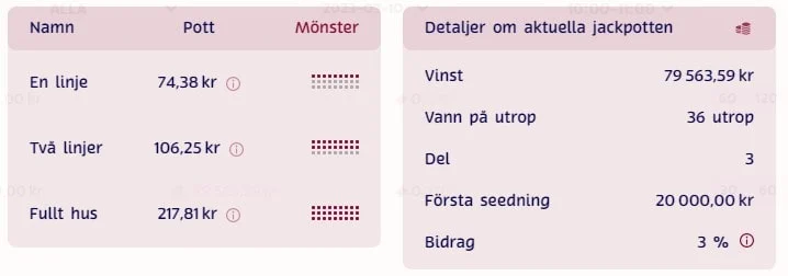 how to play bingo screenshot 7
