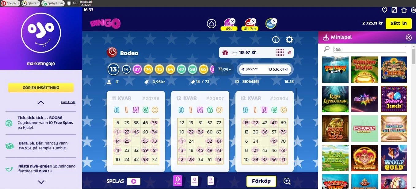 how to play bingo screenshot 8