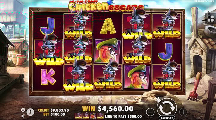 The Crazy Chicken Escape