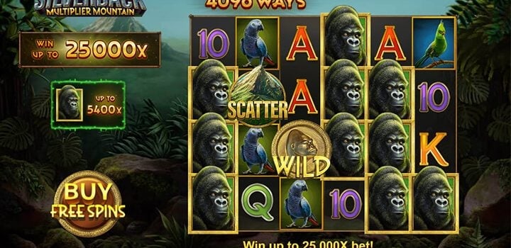 Silverback Multiplier Mountain