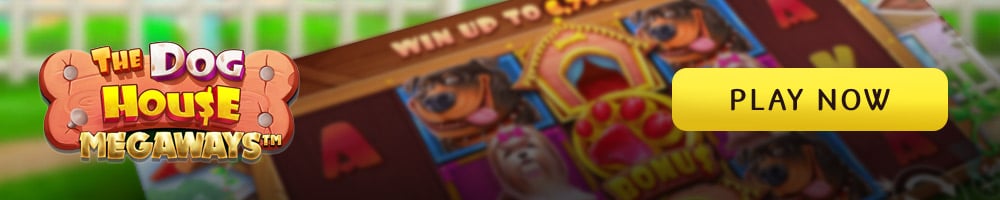 The Dog House Megaways Screenshot