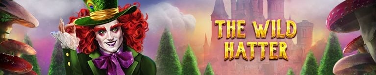 The Wild Hatter