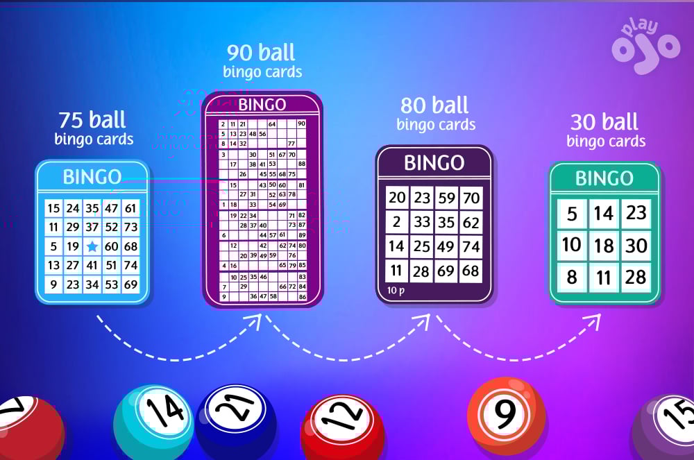 Evolution of Bingo