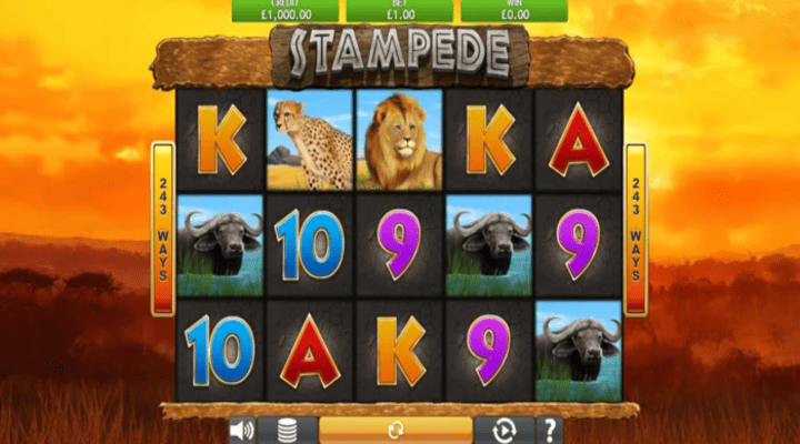 Stampede Slot