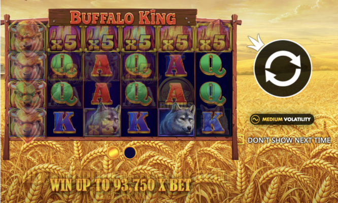 Buffalo King Screenshot 1