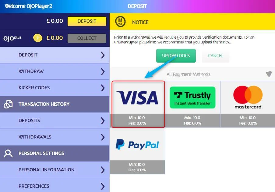 visa selection screenshot