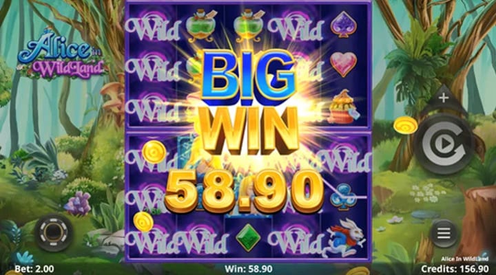 Alice in WildLand Slot Screenshot