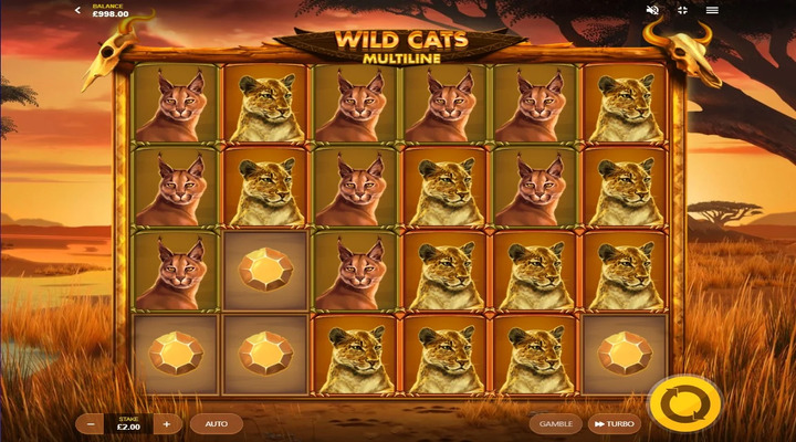 Wild Cats Multilines Screenshot 2