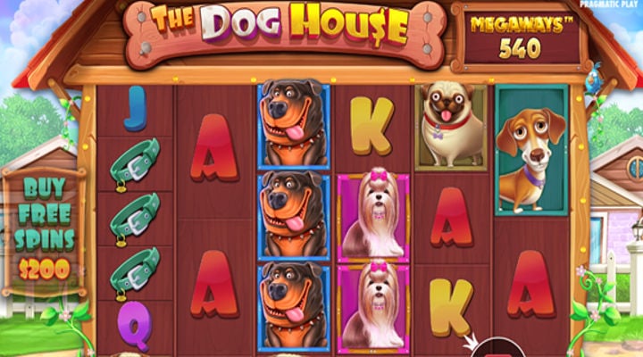 The Dog House Megaways Screenshot 1