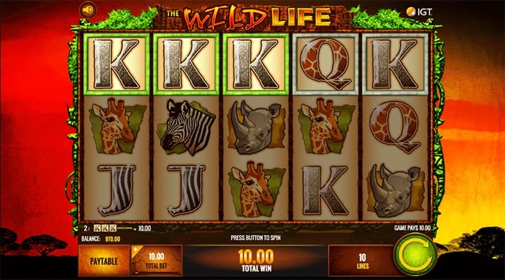 The Wild Life Screenshot 1