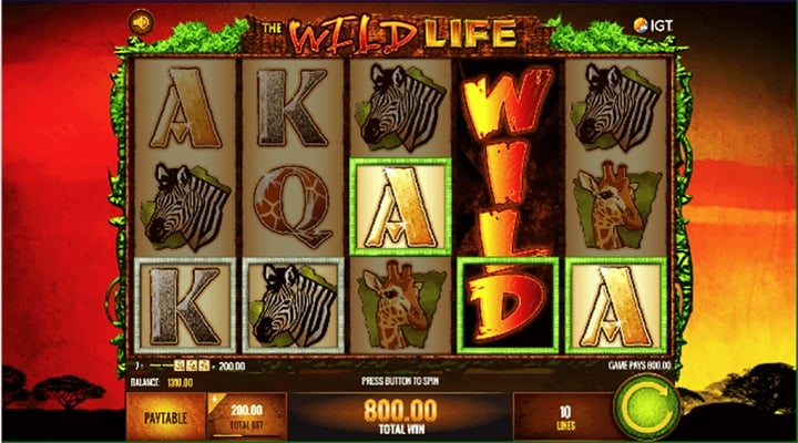 The Wild Life Screenshot 2