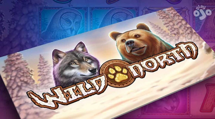Wild North Screenshot