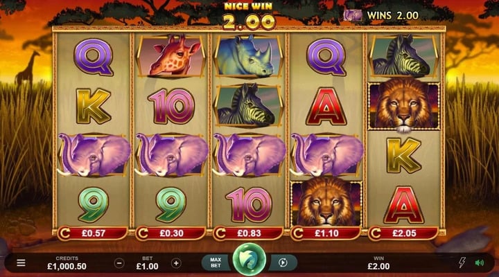 African Quest Screenshot 2