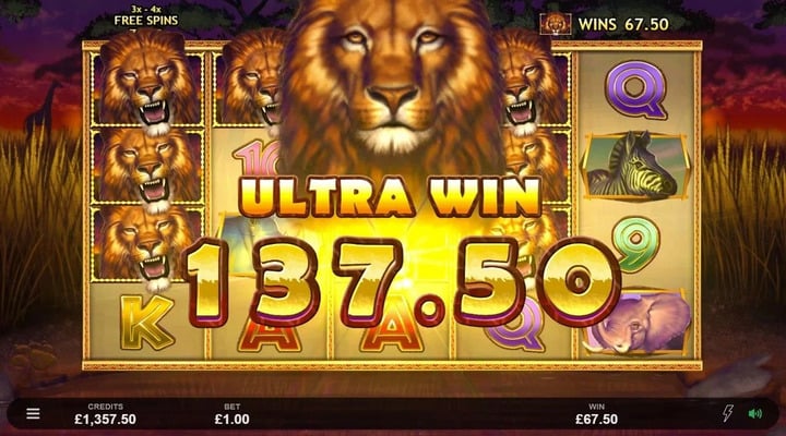 African Quest Screenshot 4