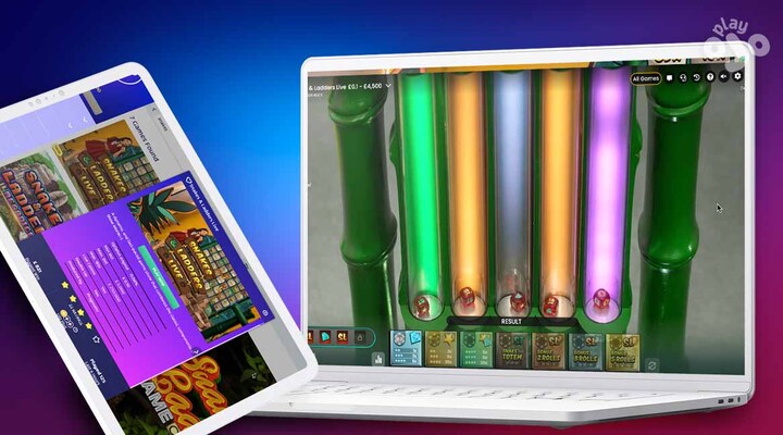 Snakes and Ladders Bonus Features