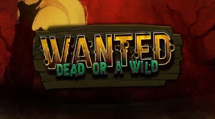 Wanted Dead or a Wild Screenshot 1