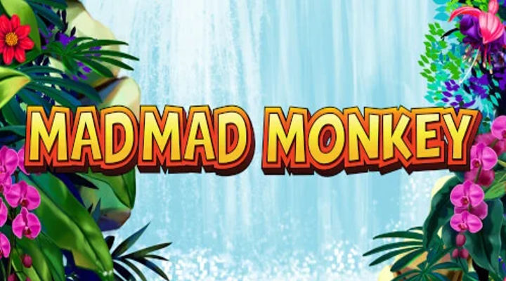 Mad Mad Monkey Screenshot 1