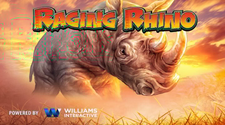 Raging Rhino Screenshot 1