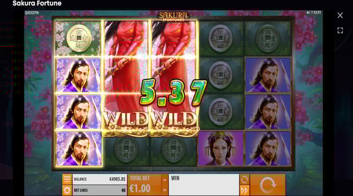 Sakura Fortune Screenshot 2