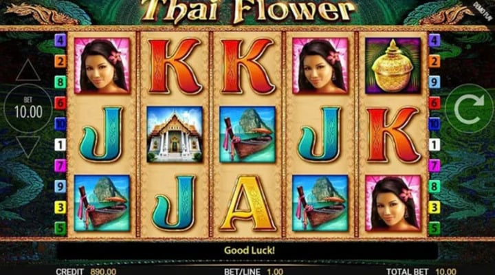 Sakura Fortune Screenshot 3